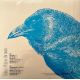 PIDGEON, REBECCA - THE RAVEN (1 LP) - 180 GRAM VINYL - WYDANIE USA