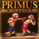 PRIMUS - ANIMALS SHOULD NOT PRIMUS - ANIMALS SHOULD NOT TRY TO ACT LIKE PEOPLE (1 LP) - 180 GRAM VINYL