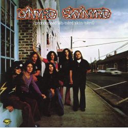 LYNYRD SKYNYRD - PRONOUNCED LEH-NERD SKIN-NERD (2 LP) - 45RPM - ANALOGUE PRODUCTIONS - 180 GRAM VINYL - WYDANIE USA