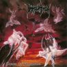 IMMOLATION - DAWN OF POSSESSION (1 LP)