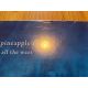 PINEAPPLE THIEF, THE - ALL THE WARS 1 LP)