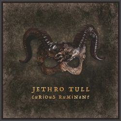 JETHRO TULL - CURIOUS RUMINANT (1 LP)