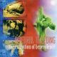 INTERNAL BLEEDING - THE EXTINCTION OF BENEVOLENCE (2 LP) - WHITE VINYL