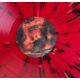 LOUDBLAST - ALTERING FATES AND DESTINIES (1 LP) - RED MARBLED VINYL