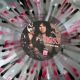 KISS - LIVE MACHINE: RADIO BROADCAST RECORDINGS (10" EP) - SPLATTER