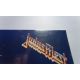 JUDAS PRIEST - PAINKILLER (1 LP) - WE ARE VINYL EDITION - 180 GRAM PRESSING
