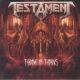 TESTAMENT - THRONE OF THORNS (12") - 45RPM - LIMITED NUMBERED EDITION