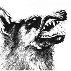 CRIPPLED BLACK PHOENIX - I, VIGILANTE (1 LP)