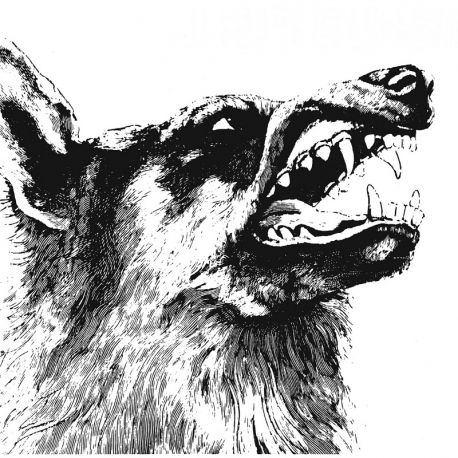 CRIPPLED BLACK PHOENIX - I, VIGILANTE (1 LP)