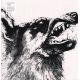 CRIPPLED BLACK PHOENIX - I, VIGILANTE (1 LP)