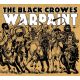 BLACK CROWES, THE - WARPAINT (1 LP)
