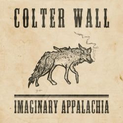 WALL, COLTER - IMAGINARY APPALACHIA (1 LP) - 10TH ANNIVERSARY GREEN OLIVE VERSION - USA