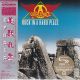 AEROSMITH - ROCK IN A HARD PLACE (1 SHM-CD) - WYDANIE JAPOŃSKIE