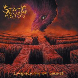 STATIC ABYSS - LABYRINTH OF VEINS (1 LP)