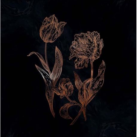 DVNE - CYCLES OF ASPHODEL (1 LP) - LIMITED MILKY CLEAR GOLD SPLATTER