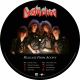 DESTRUCTION - RELEASE FROM AGONY (1 LP) - PICTURE DISC