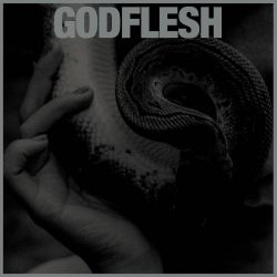 GODFLESH - PURGE (1 CD)