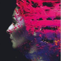 WILSON, STEVEN ( PORCUPINE TREE ) - HAND. CANNOT. ERASE. (2 LP)