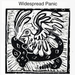 WIDESPREAD PANIC - WIDESPREAD PANIC (2LP) - WYDANIE AMERYKAŃSKIE