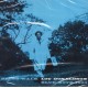 DONALDSON, LOU - BLUES WALK (1SACD) - ANALOGUE PRODUCTIONS EDITION